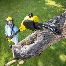 Best Lawn Pest Prevention  in Nice, CA